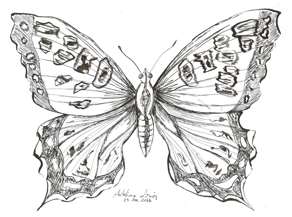 desen fluture in penita